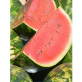 Hectarul - Seminte pepene BARONESA RZ F1, 100 SEM